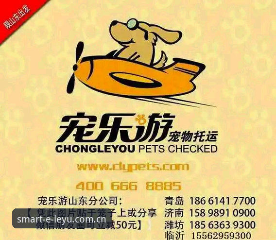 深度评测：乐游体育平台官网入口与新手体验全解析